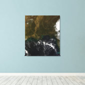 De zuidoostelijke Verenigde Staten Canvas Afdruk (Insitu (Houten vloer))