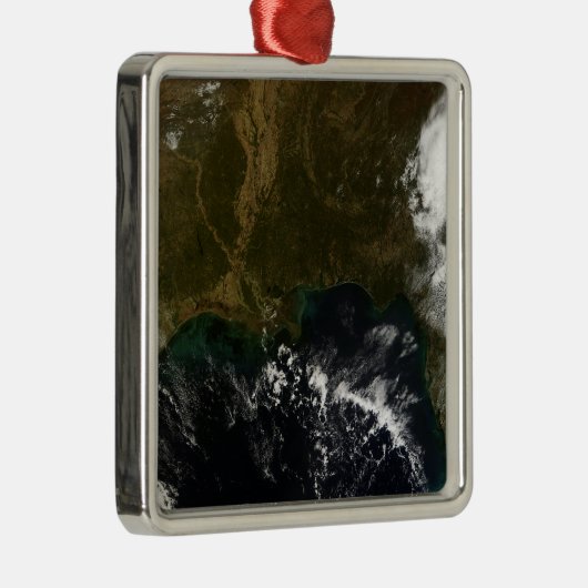 De zuidoostelijke Verenigde Staten Metalen Ornament (Rechts)