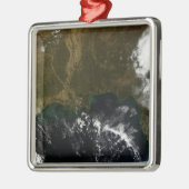 De zuidoostelijke Verenigde Staten Metalen Ornament (Links)