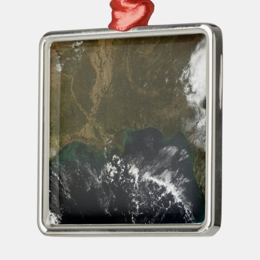 De zuidoostelijke Verenigde Staten Metalen Ornament (Links)