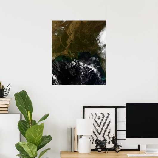 De zuidoostelijke Verenigde Staten Poster (Thuiskantoor)