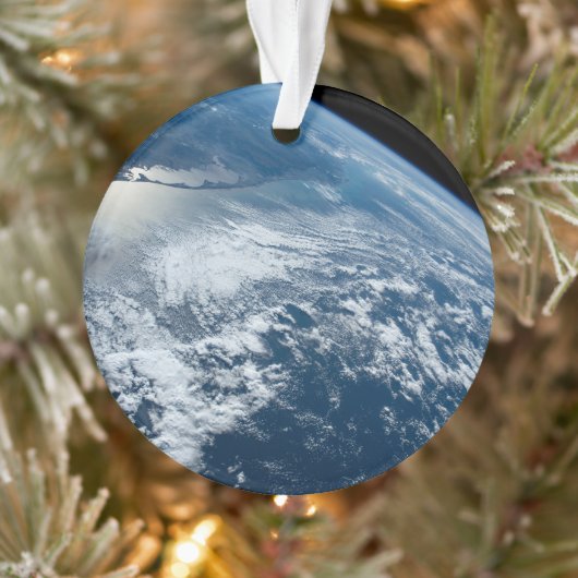 De zuidpunt van Brazilië grenst aan Uruguay. Ornament (Boom)