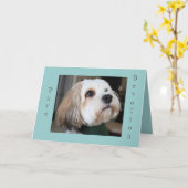 De zuivere kaart van de Toewijding (Gele Bloem)