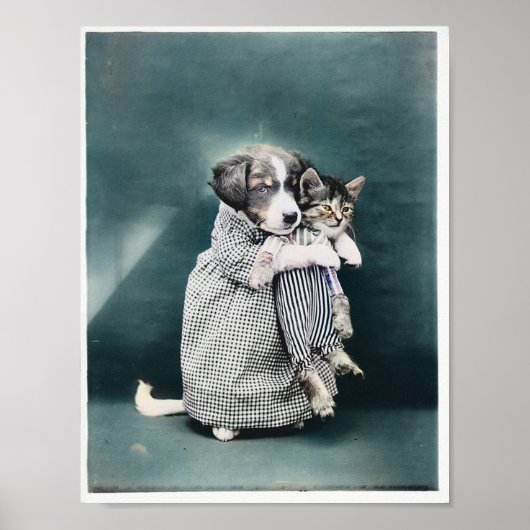 De zure puppy Caring for Kitten 1914 gekleurd Poster (Voorkant)
