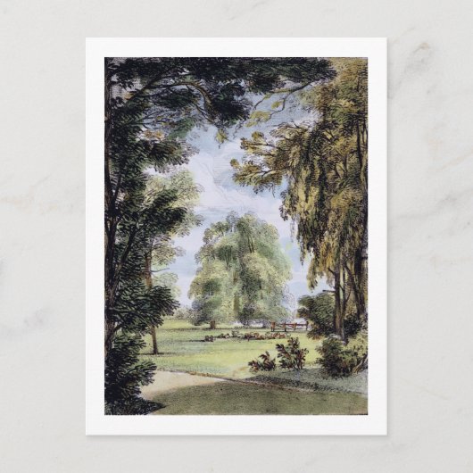De zuster Trees, Kew Gardens, bord 8 van 'Kew G Briefkaart (Voorkant)