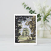 De zuster Trees, Kew Gardens, bord 8 van 'Kew G Briefkaart (Staand voorkant)