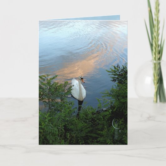 De Zwaan van de zonsondergang Kaart (Voorkant)