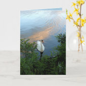 De Zwaan van de zonsondergang Kaart (Gele Bloem)