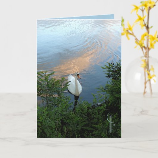 De Zwaan van de zonsondergang Kaart (Gele Bloem)