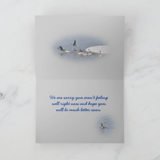 De zwanen & de Ganzen embbk- passen om het even Kaart (Binnen)