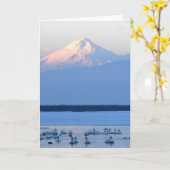 De Zwanen van de toendra en zetten Shasta op Kaart (Gele Bloem)