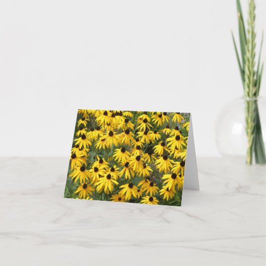 De zwart-Eyed Kaarten van de Nota Susans (Voorkant)