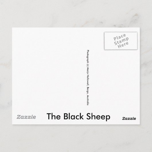 De zwart schapen briefkaart (Achterkant)