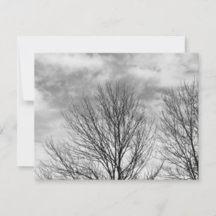 De zwart-wit Bovenkant van de Boom