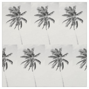 De zwart-witte tropische foto van de palmzomer stof
