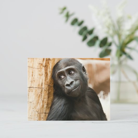 De zwarte Aap van het Baby Briefkaart (Staand voorkant)