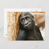 De zwarte Aap van het Baby Briefkaart (Voorkant / Achterkant)