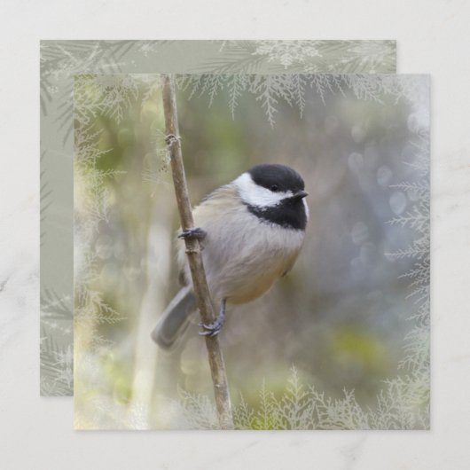 De zwarte Afgedekte Ceder Chickadee vertakt zich Feestdagenkaart (Voorkant / Achterkant)