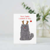 De Zwarte Beste Kerstman van de chow-chow Feestdagenkaart (Staand voorkant)