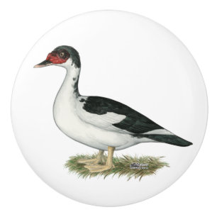 De Zwarte Bonte Eend van Muscovy Keramische Knop