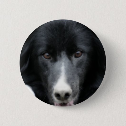 De zwarte Button van de Hond van het Gezicht van (Voorkant)