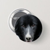 De zwarte Button van de Hond van het Gezicht van (Voorkant /achterkant)