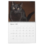 DE ZWARTE CAT-kalender Kalender (Feb 2027)