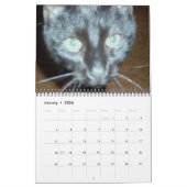 DE ZWARTE CAT-kalender Kalender (Jan 2026)