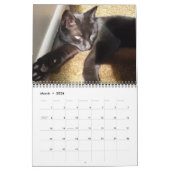 DE ZWARTE CAT-kalender Kalender (Mar 2026)
