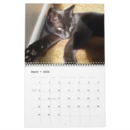 DE ZWARTE CAT-kalender Kalender (Mar 2026)