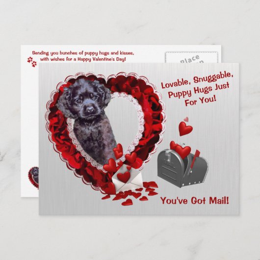 De zwarte Cocker-spaniël #2 u heeft de Omhelzingen Feestdagenkaart (Voorkant / Achterkant)