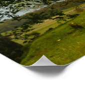 De zwarte Douglas Poster (Hoek)