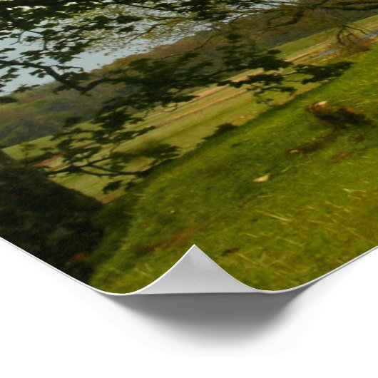 De zwarte Douglas Poster (Hoek)