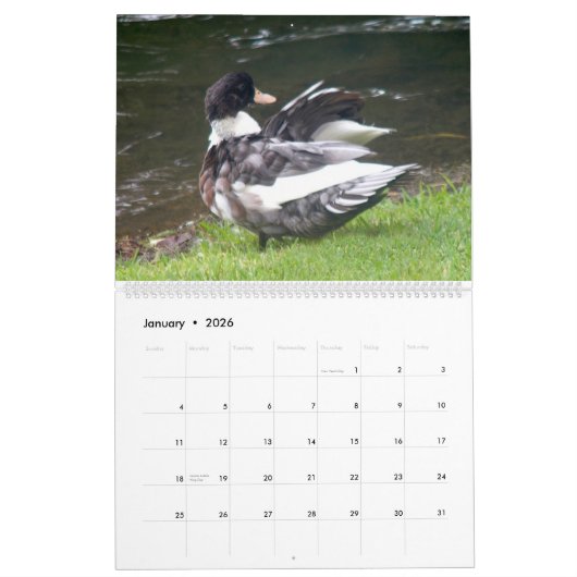 DE ZWARTE EEND 2024 KALENDER (Jan 2026)