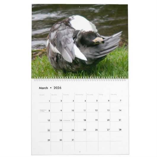 DE ZWARTE EEND KALENDER 2025 (Mar 2026)