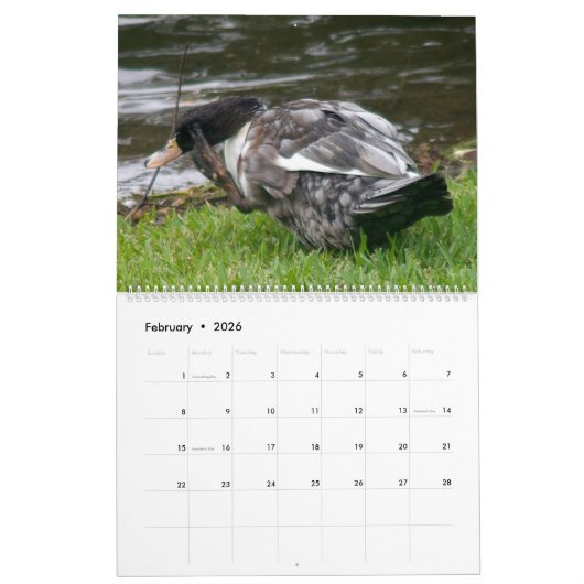 DE ZWARTE EEND KALENDER 2025 (Feb 2026)