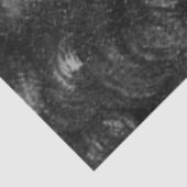 De zwarte en witte dame tissuepapier (Detail)