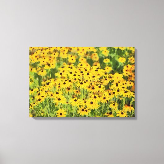 De zwarte Eyed Susans Verpakte Druk van de Kunst Canvas Afdruk (Voorkant)