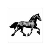 De zwarte hengst van Friesland, de zwarte schoonhe Rubberstempel (Afrduk)
