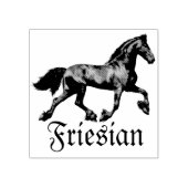 De zwarte hengst van Friesland, de zwarte schoonhe Rubberstempel (Afrduk)