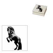 De zwarte hengst van Friesland, de zwarte schoonhe Rubberstempel (Gestempeld)
