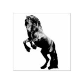 De zwarte hengst van Friesland, de zwarte schoonhe Rubberstempel (Afrduk)