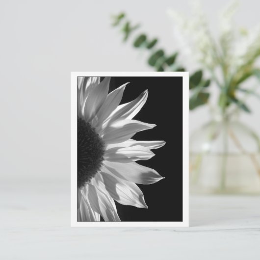 De Zwarte & het Wit van de zonnebloem Briefkaart (Staand voorkant)