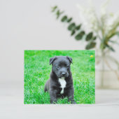 De zwarte Hond van het Baby Briefkaart (Staand voorkant)