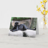 De zwarte Kaart van de Nota van de Panter (Gele Bloem)