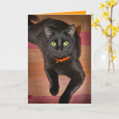 De zwarte Kaart van Halloween van de Kat (Gele Bloem)