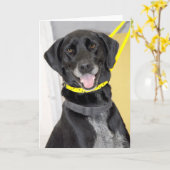 De zwarte Kaarten van de Groet/van de Nota van de (Gele Bloem)