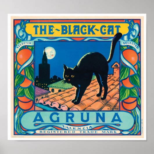 De zwarte kat Agruna Valencia Sinaasappel  kool Poster (Voorkant)