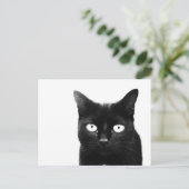 De Zwarte Kat Briefkaart (Staand voorkant)