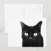De Zwarte Kat Briefkaart (Voorkant / Achterkant)